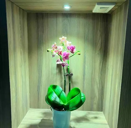 公寓 Penthouse Unit Near Airport Naia *